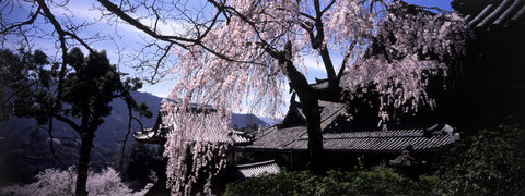 (c) Hiroji Kubota / Magnum Photos