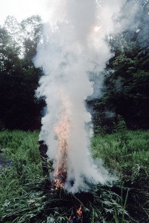 (c) Paul Fusco / Magnum Photos