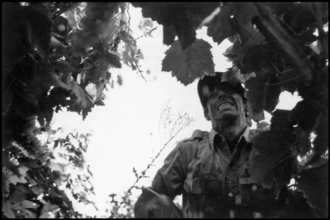 (c) Paul Fusco / Magnum Photos