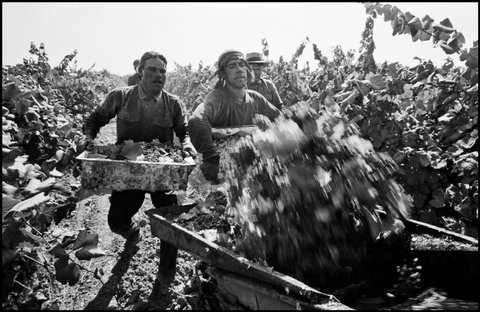 (c) Paul Fusco / Magnum Photos