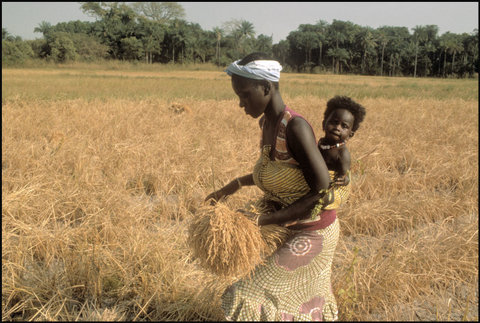 (c) Bruno Barbey / Magnum Photos