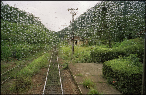 (c) Patrick Zachmann / Magnum Photos