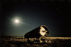 Spaceship Junkyard--(Soviets won the space race this day 1961)