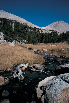 (c) 
Constantine Manos
 / Magnum Photos