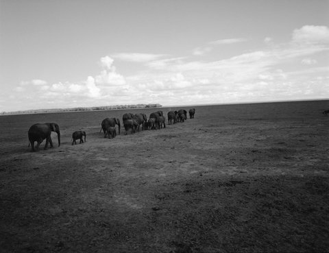 (c) 
Alex Majoli
 / Magnum Photos