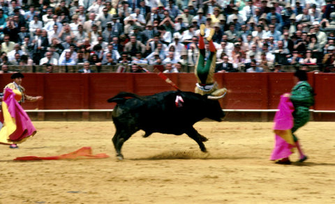 (c) Ferdinando Scianna / Magnum Photos