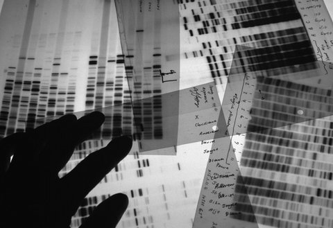 (c) Peter Marlow / Magnum Photos