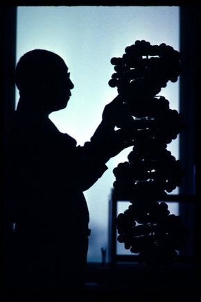 (c) Burt Glinn / Magnum Photos