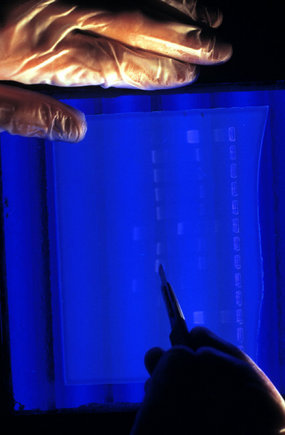 (c) Erich Hartmann / Magnum Photos