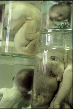 (c) Gueorgui Pinkhassov / Magnum Photos