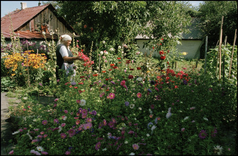 (c) Gueorgui Pinkhassov / Magnum Photos
