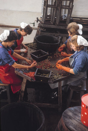 (c) Eve Arnold / Magnum Photos