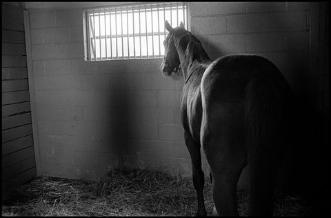 (c) Eugene Richards / Magnum Photos