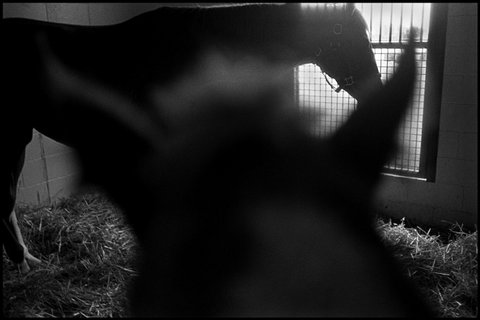 (c) Eugene Richards / Magnum Photos