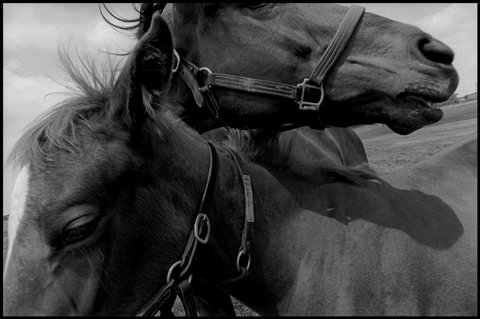 (c) Eugene Richards / Magnum Photos