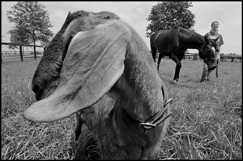 (c) Eugene Richards / Magnum Photos