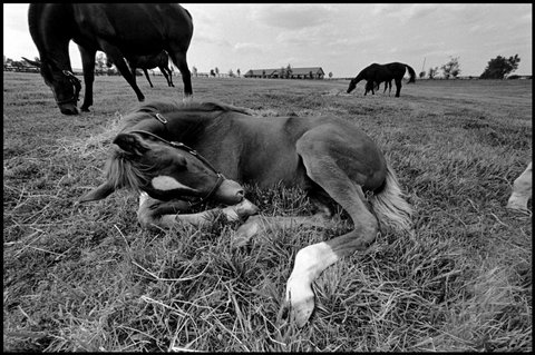 (c) Eugene Richards / Magnum Photos