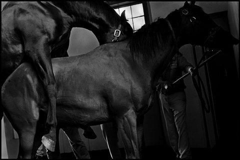 (c) Eugene Richards / Magnum Photos