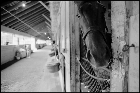 (c) Eugene Richards / Magnum Photos