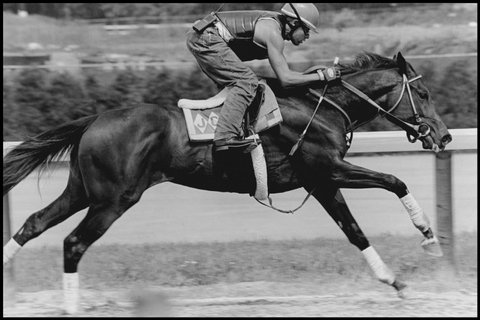 (c) Eugene Richards / Magnum Photos
