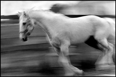 (c) Eugene Richards / Magnum Photos
