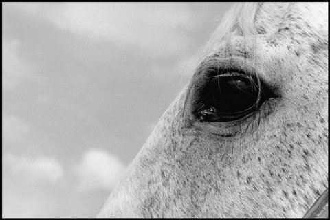 (c) Eugene Richards / Magnum Photos
