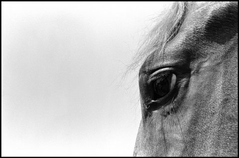 (c) Eugene Richards / Magnum Photos
