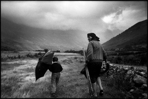 (c) Alex Majoli / Magnum Photos