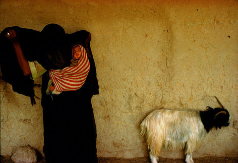 (c) Harry Gruyaert / Magnum Photos