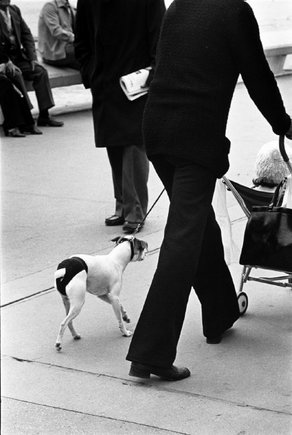 (c) Elliott Erwitt / Magnum Photos