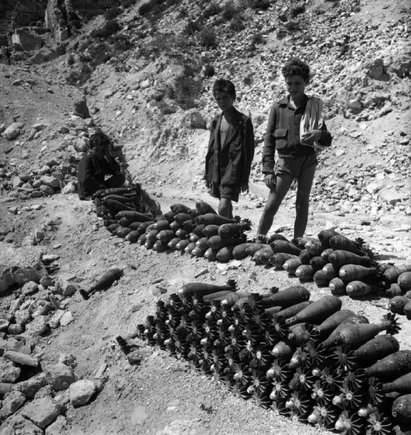 (c) David Seymour / Magnum Photos