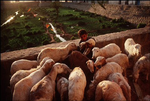 (c) Harry Gruyaert / Magnum Photos