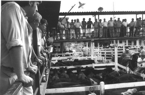 (c) Ferdinando Scianna / Magnum Photos