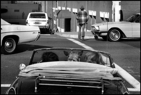 (c) Elliott Erwitt  / Magnum Photos