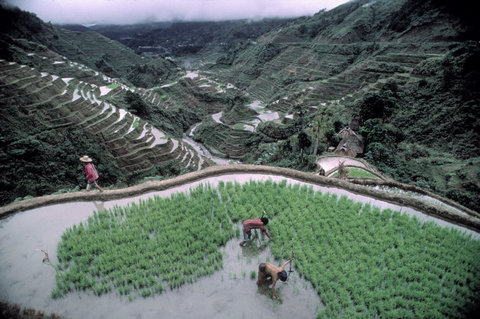 (c) Steve McCurry / Magnum Photos