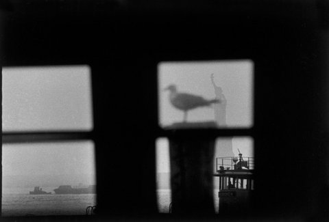 (c) Bruce Davidson / Magnum Photos