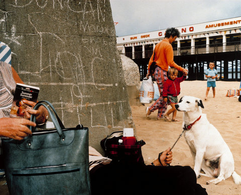 (c) Martin Parr / Magnum Photos