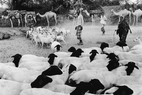 (c) Chris Steele-Perkins / Magnum Photos