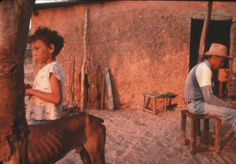 (c) Stuart Franklin / Magnum Photos