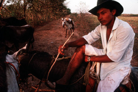 (c) Stuart Franklin / Magnum Photos