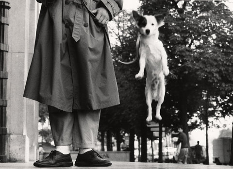 (c) Elliott Erwitt / Magnum Photos
