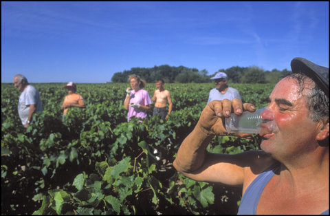 (c) David Alan Harvey / Magnum Photos