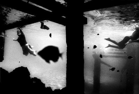 (c) Trent Parke / Magnum Photos
