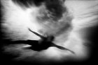 The Seventh Wave