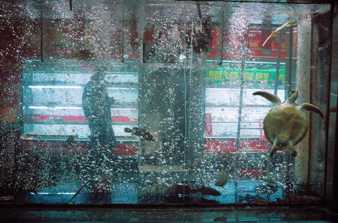 (c) Harry Gruyaert / Magnum Photos