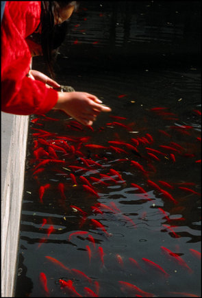 (c) Gueorgui Pinkhassov / Magnum Photos