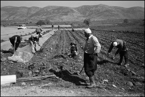 (c)  Abbas        / Magnum Photos