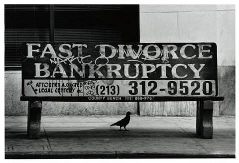 (c) Elliott Erwitt  / Magnum Photos