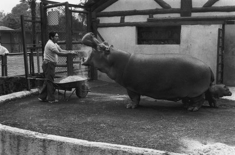 (c) Stuart Franklin / Magnum Photos