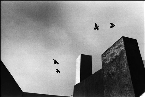 (c) Rene Burri / Magnum Photos